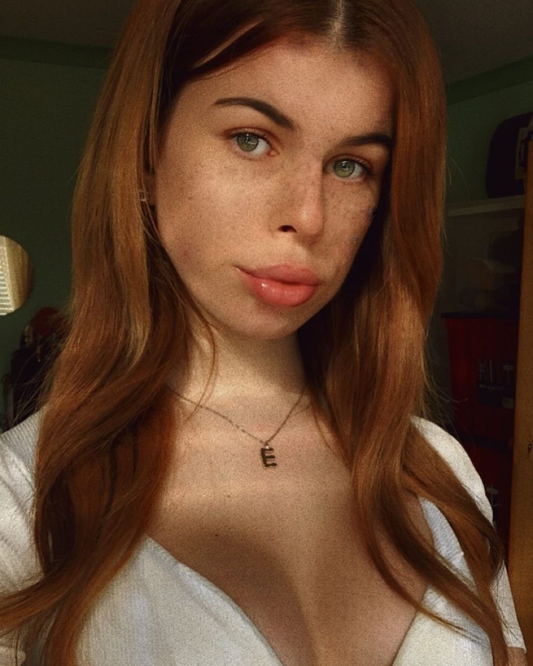 hornydaniella from Perth and Kinross,United Kingdom